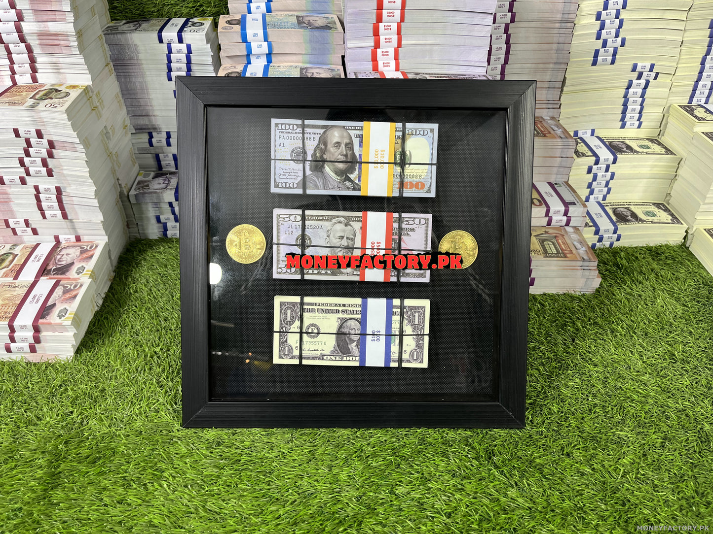 Bitcoin Dollar Frame