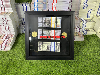Bitcoin Dollar Frame